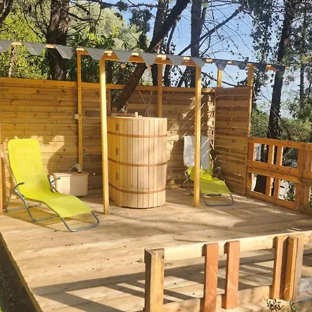 Shelby Vue Avec Kitchenette