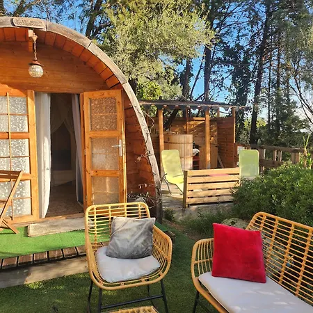 Shelby Vue Avec Kitchenette